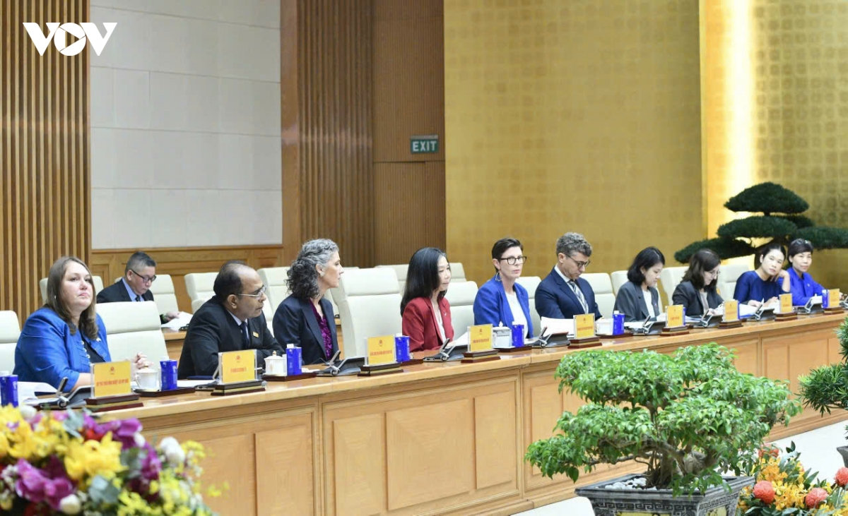 thủ tướng tiếp Điều phối viên thường trú liên hợp quốc tại việt nam hình ảnh 4 thu tuong tiep Dieu phoi vien thuong tru lien hop quoc tai viet nam hinh anh 4