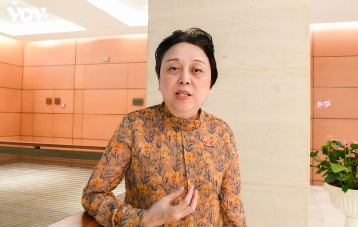 Đại biểu Quốc hội Phạm Khánh Phong Lan - Đoàn TP.HCM.