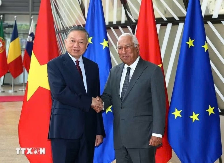 toan canh chuyen tham eu, Dan mach va vuong quoc bi cua tong bi thu, chu tich nuoc to lam hinh anh 16
