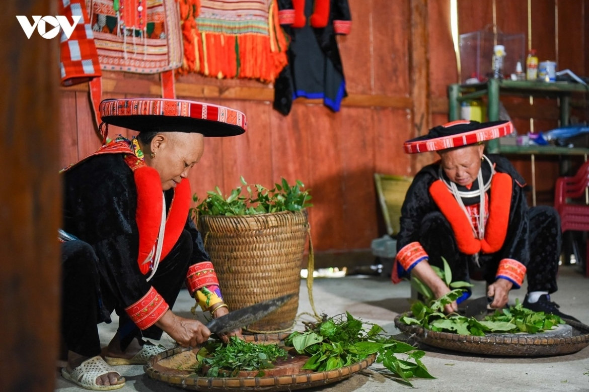 nguoi dao do tim sinh ke tu nhung bai thuoc co truyen hinh anh 2