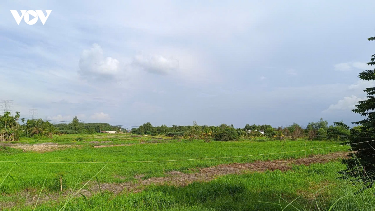 dân đồng thuận giao đất nhờ chính quyền nói đi đôi với làm hình ảnh 3 dan dong thuan giao dat nho chinh quyen noi di doi voi lam hinh anh 3