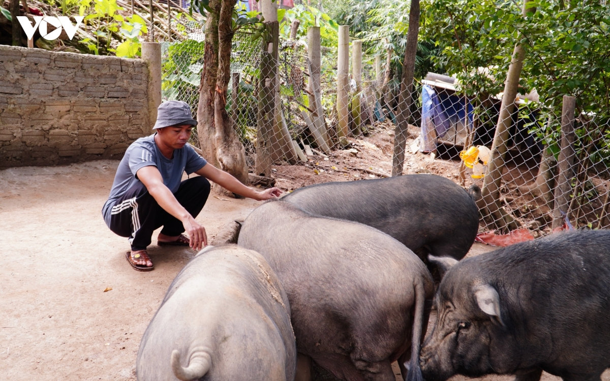 chuong trinh muc tieu quoc gia giup dong bao bien gioi quang tri on dinh sinh ke hinh anh 1