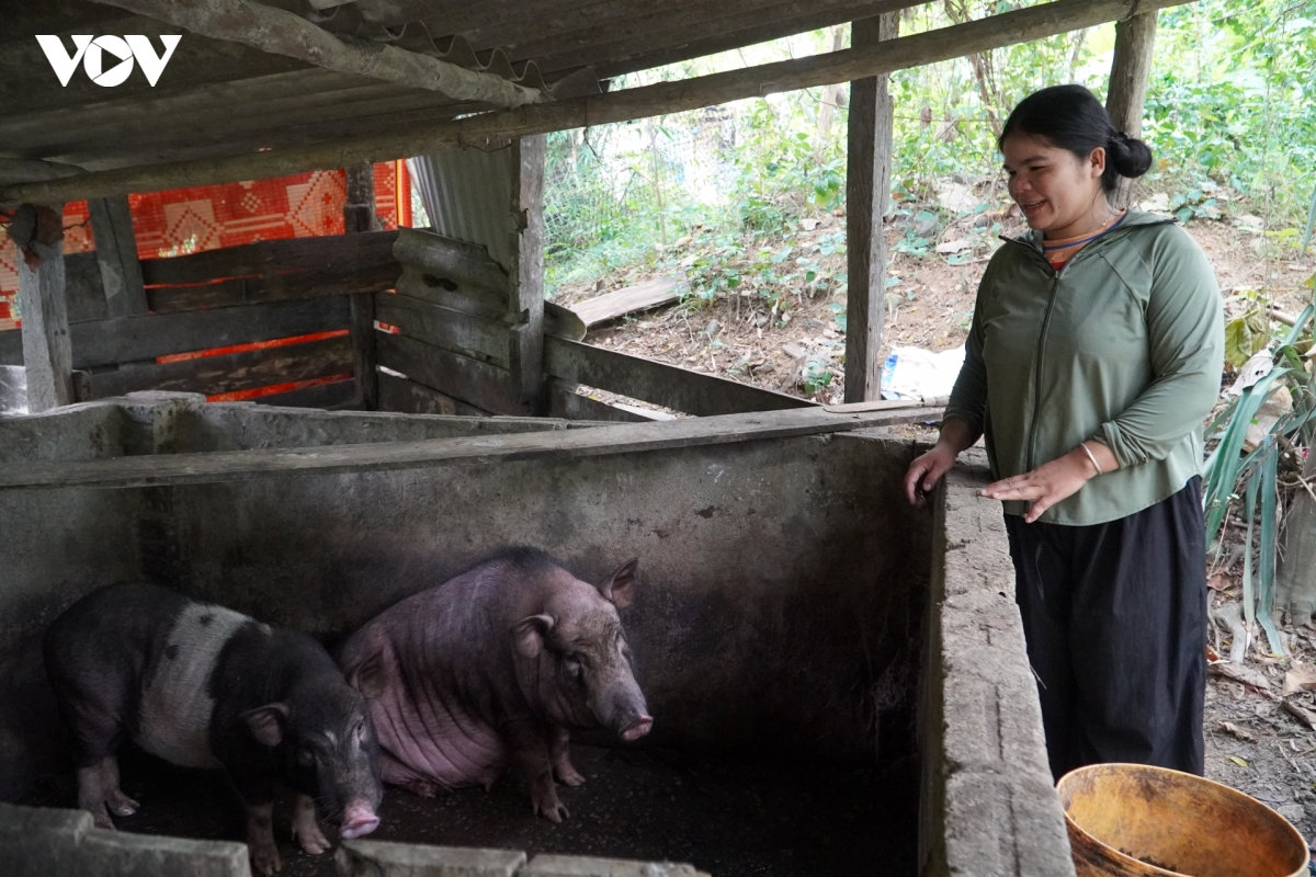 chuong trinh muc tieu quoc gia giup dong bao bien gioi quang tri on dinh sinh ke hinh anh 3