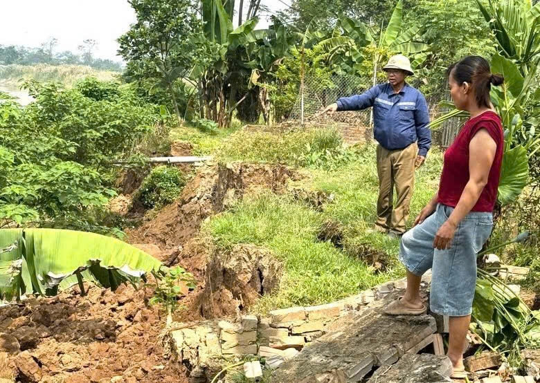 bờ sông hồng ở xã liên minh phú thọ nứt toác, đe dọa đất ở của người dân hình ảnh 1 bo song hong o xa lien minh phu tho nut toac, de doa dat o cua nguoi dan hinh anh 1