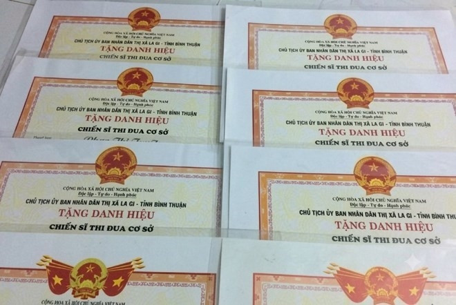 ban hanh quy che lam viec cua hoi dong thi dua - khen thuong trung uong hinh anh 1