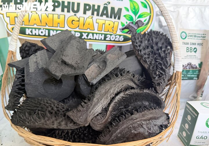 Vỏ cam, gáo dừa hóa hàng xuất khẩu, mở hướng phát triển bền vững - 5