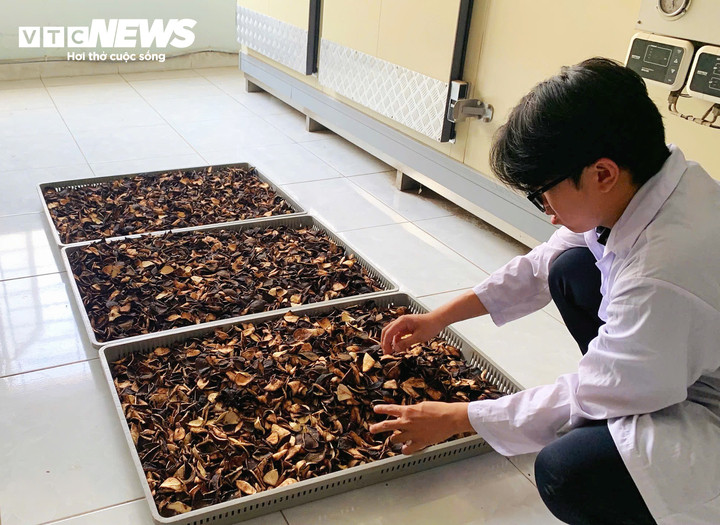 Vỏ cam sành được nghiên cứu, xử lý để tạo nguyên liệu sản xuất bao bì sinh học.