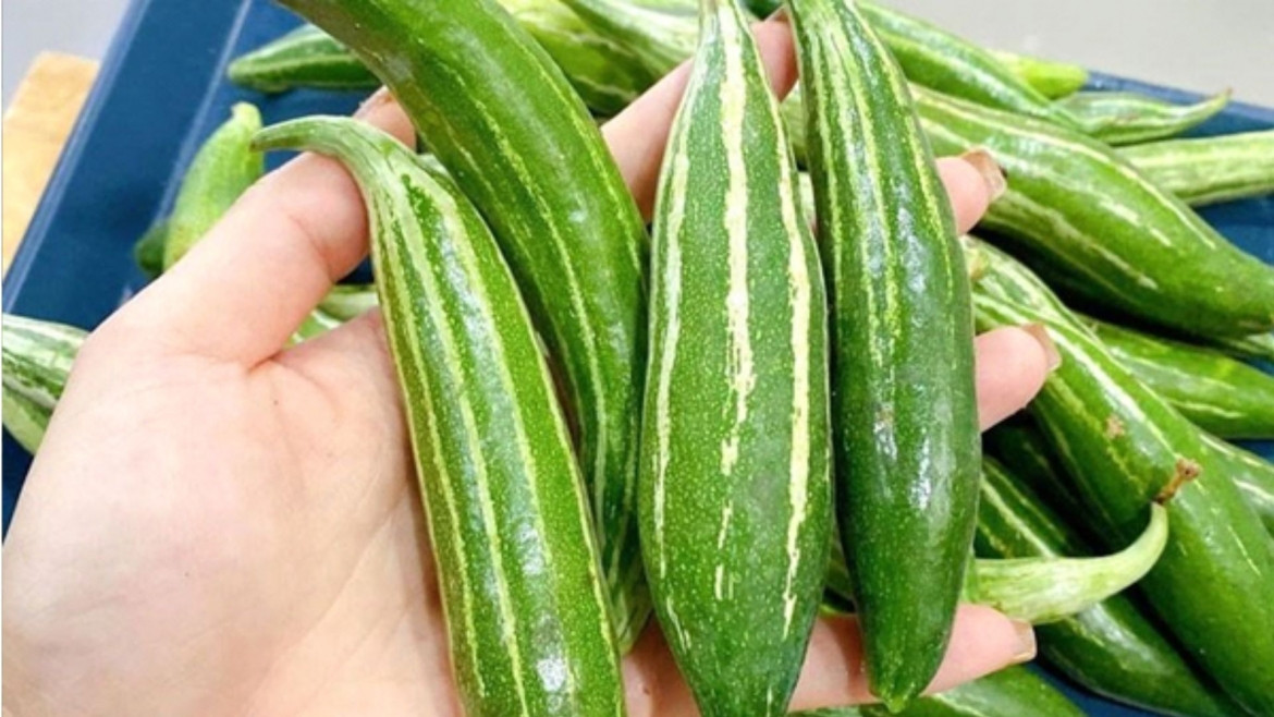 thứ quả thanh mát giá bình dân, giúp giảm cân, mát gan lại hạ huyết áp cực tốt hình ảnh 1 thu qua thanh mat gia binh dan, giup giam can, mat gan lai ha huyet ap cuc tot hinh anh 1