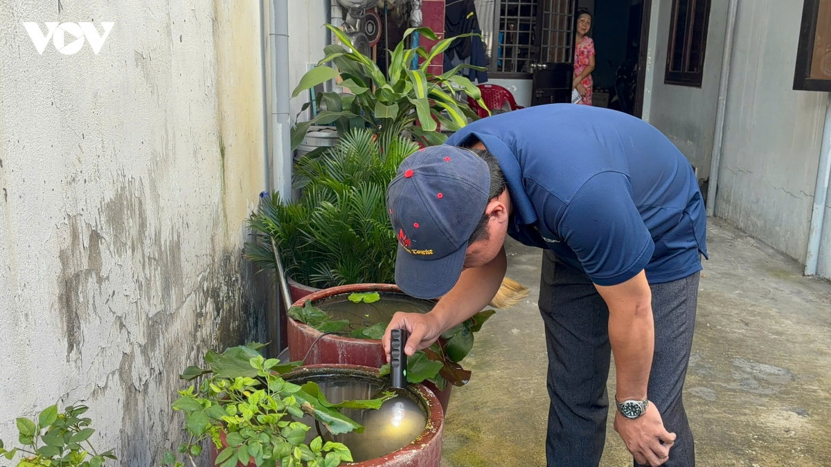 tp.hcm ghi nhận hơn 42.500 ca sốt xuất huyết, 11 người tử vong hình ảnh 4 tp.hcm ghi nhan hon 42.500 ca sot xuat huyet, 11 nguoi tu vong hinh anh 4