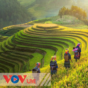 Việt Nam - Đất nước - Con người