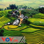 Góc Việt