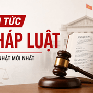 Tin pháp luật