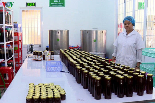 Cô gái Khmer khởi nghiệp từ mật hoa dừa