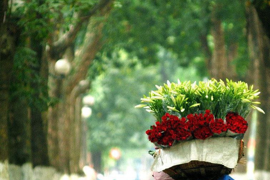Nhớ mùa thu Cách Mạng với những ca khúc không thể nào quên