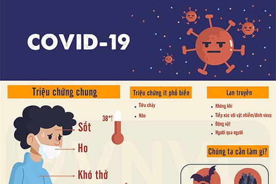 Phân biệt bệnh lý tai mũi họng và Covid 19! (12/9/2020)