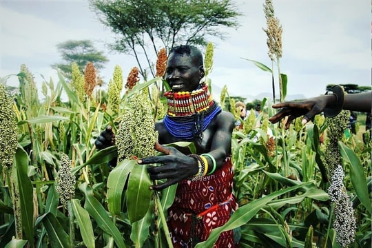 Thăm trang trại hữu cơ của nông dân Kenya