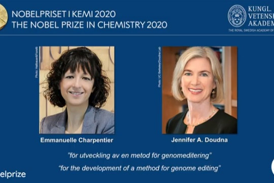 Nobel Hóa học 2020 về tay 2 nhà khoa học nữ nghiên cứu chỉnh sửa gene