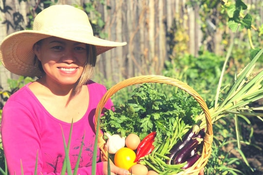 Vườn rau hữu cơ 500m2 "nảy mầm"  từ một vài củ khoai tây trong bếp