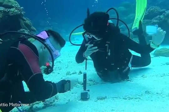 Video: Cặp đôi mạo hiểm đính hôn khi lặn dưới đáy biển, ở độ sâu 10m
