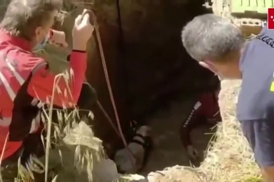 Lính cứu hỏa dùng trực thăng giải cứu chú ngựa bị kẹt dưới hố sâu ngập nước
