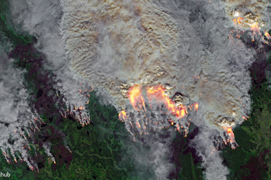 ‘Đám cháy thây ma’ ở Bắc Cực hồi sinh từ băng giá