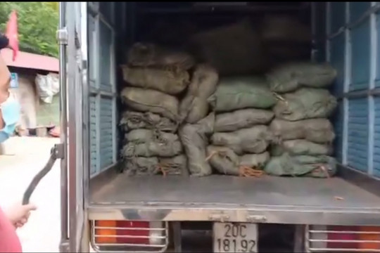Xe tải chở hơn 1,8 tấn nguyên liệu thuốc lá không rõ nguồn gốc