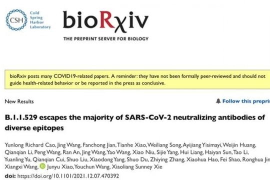 Nghiên cứu Trung Quốc: Biến thể Omicron tránh được 85% kháng thể trung hòa