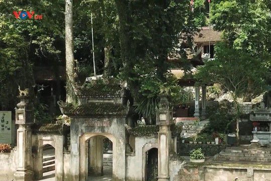 Phim tài liệu: Đức Thánh Đuổm Dương Tự Minh