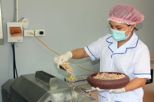 Khởi nghiệp thành công nhờ chế biến nông sản hữu cơ