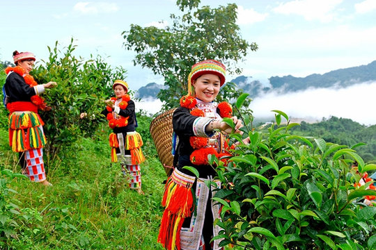 Tuyên Quang mong đón khách du lịch từ TP.HCM