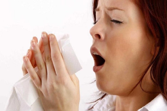 Vì sao người bị viêm mũi dị ứng không nên ăn hải sản?