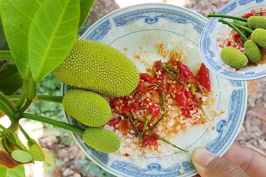 Món quà vặt của tuổi thơ vừa chua vừa chát nhưng ăn đến đâu hạnh phúc đến đó