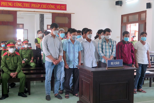 Tuyên án 34 bị cáo liên quan đến phá rừng ở Phú Yên