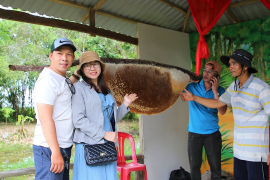 Cà Mau gìn giữ hồn cốt đất rừng U Minh hạ