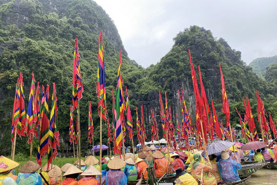 Hàng nghìn du khách đội mưa ngắm lúa trong ngày khai hội "Sắc vàng Tam Cốc - Tràng An"