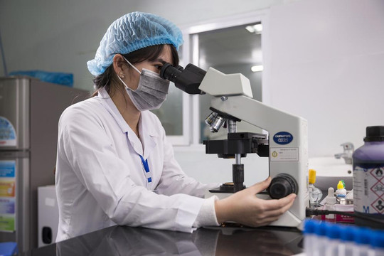 3 đại học của Việt Nam lọt top 1.000 trường tốt nhất thế giới