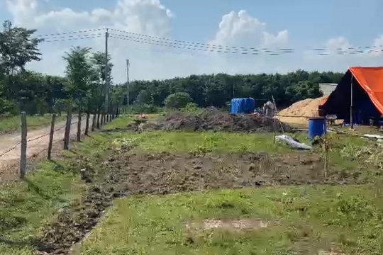 Người đàn ông ở Bình Phước tử vong bên hàng rào thép gai có điện