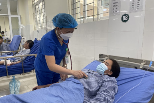 Nhiều người ở Sơn La phải nhập viện vì rắn độc cắn