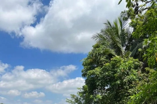 Phó Giám đốc Trung tâm Phát triển Quỹ đất ở Hải Phòng chết trong tư thế treo cổ