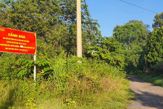Bình Dương xử phạt 57 dự án bất động sản "bán lúa non", chậm triển khai
