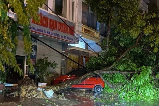 Mưa giông ở Lào Cai làm gần 600 nhà bị ảnh hưởng