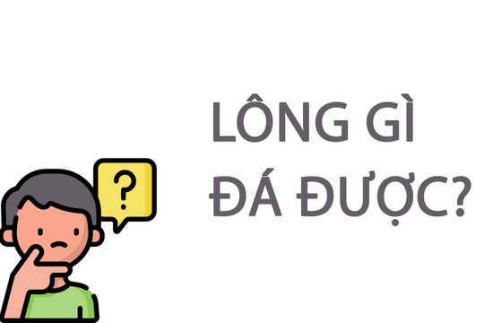 Lông gì đá được?