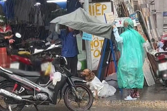 Chú chó trốn khỏi kẻ trộm giữa mưa và cử chỉ được khen hết lời của 2 cô gái lạ