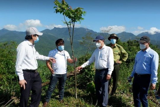 Hiệu quả giao khoán rừng, đất rừng cho người Cơ Tu quản lý