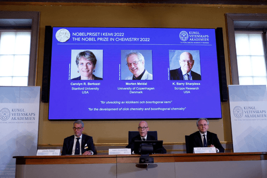 Giải Nobel Hóa học 2022 vinh danh 3 nhà khoa học Mỹ và Đan Mạch