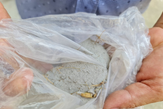 Bụi trắng ở Khu kinh tế Dung Quất có nguồn từ Nhà máy lọc dầu Dung Quất