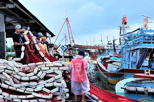 Sau vụ bạo hành trên tàu cá, Cà Mau tăng cường quản lý lao động là ngư phủ