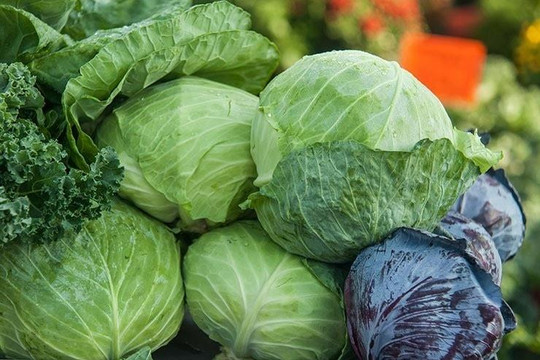 Ăn bắp cải có giảm cân?