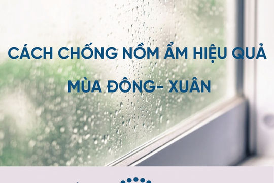 Cách chống nồm ẩm hiệu quả mùa đông - xuân