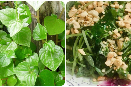 Ai không nên ăn rau càng cua?